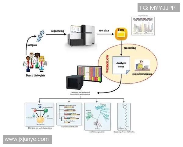 西安网球队的节奏体系与战术运用分析探讨